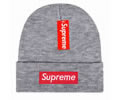 Supreme winter cap