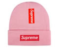 Supreme winter cap