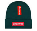 Supreme winter cap