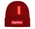 Supreme winter cap