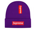 Supreme winter cap