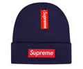 Supreme winter cap