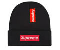 Supreme winter cap