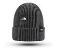 The north face Cap