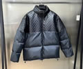 Louis Vuitton Down Lovers Jacket Best quality 1:1