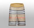 BURBERRY Lovers pants best quality