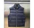DIOR Lovers vest Down Best quality