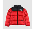 The north face Lovers DOWN Jacket