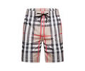 BURBERRY Lovers Pants