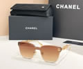 CHANEL Sunglasses MODEL A95094 SIZE 139-0-142