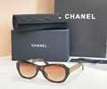 CHANEL Sunglasses MODEL 5537 SIZE 55-19-140