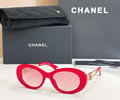 CHANEL Sunglasses MODEL CH9179 SIZE 52-19-140