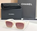 CHANEL Sunglasses MODEL 5558 SIZE 55-18-140