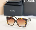 CHANEL Sunglasses MODEL 9191H SIZE 53-17-140