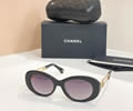CHANEL Sunglasses MODEL 9179 SIZE 51-19-140