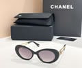 CHANEL Sunglasses MODEL CH9179 SIZE 52-19-140