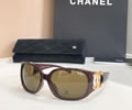 CHANEL Sunglasses MODEL 6014 SIZE 64-16-120