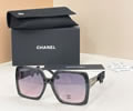 CHANEL Sunglasses MODEL CH9261Q SIZE 55-19-140