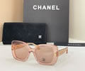 CHANEL Sunglasses MODEL 9173B SIZE 54-19-140