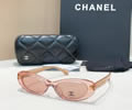 CHANEL Sunglasses MODEL 9175B SIZE 55-17-140