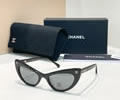 CHANEL Sunglasses MODEL 71774 SIZE 54-20-140