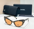 CHANEL Sunglasses MODEL 71774 SIZE 54-20-140