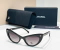 CHANEL Sunglasses MODEL 71774 SIZE 54-20-140