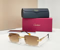 Cartier Sunglasses MODEL CT0578O SIZE 55-17-145 best quality 1:1 