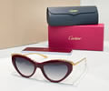 Cartier Sunglasses MODEL CT0596S SIZE 140 best quality 1:1 