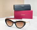 Cartier Sunglasses MODEL CT0596S SIZE 140 best quality 1:1 