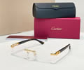 Cartier Sunglasses MODEL CT0455O SIZE 52-16-145 best quality 1:1