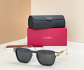 Cartier Sunglasses MODEL CT0612OA SIZE 52-20-145 best quality 1:1 