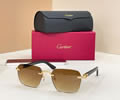 Cartier Sunglasses MODEL CT0623O SIZE 145 best quality 1:1 