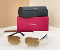 Cartier Sunglasses MODEL CT0622S SIZE 145 best quality 1:1 