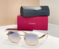Cartier Sunglasses MODEL CT0485S SIZE 57-18-145 best quality 1:1 