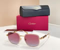 Cartier Sunglasses MODEL CT0485S SIZE 57-18-145 best quality 1:1 