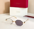Cartier Sunglasses MODEL CT0721S SIZE 142 best quality 1:1 
