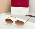 Cartier Sunglasses MODEL CT0914S SIZE 135 best quality 1:1 