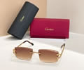 Cartier Sunglasses MODEL CT0700S SIZE 142 best quality 1:1 