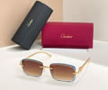 Cartier Sunglasses MODEL CT0833S SIZE 135 best quality 1:1 