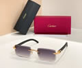 Cartier Sunglasses MODEL CT01672O SIZE 143 best quality 1:1 