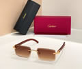 Cartier Sunglasses MODEL CT01672O SIZE 143 best quality 1:1 