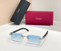 Cartier Sunglasses MODEL CT01672O SIZE 143 best quality 1:1 