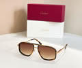 Cartier Sunglasses MODEL CT0723S SIZE 58-16-145 best quality 1:1 