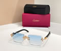 Cartier Sunglasses MODEL CT01610O SIZE 142 best quality 1:1 
