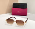 Cartier Sunglasses MODEL CT0703S SIZE 140 best quality 1:1 