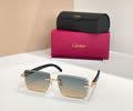 Cartier Sunglasses MODEL CT0702S SIZE 140 best quality 1:1 