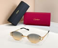 Cartier Sunglasses MODEL CT02028O SIZE 142 best quality 1:1 