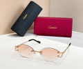 Cartier Sunglasses MODEL CT02028O SIZE 142 best quality 1:1 