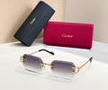 Cartier Sunglasses MODEL CT02027O SIZE 142 best quality 1:1 